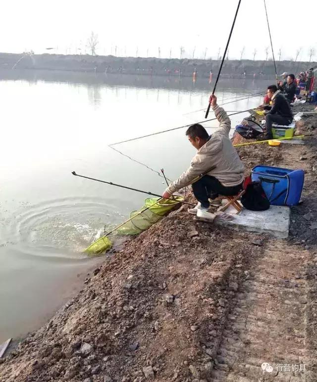 全国钓鱼大赛德州站结果,淮北钓鱼比赛直播