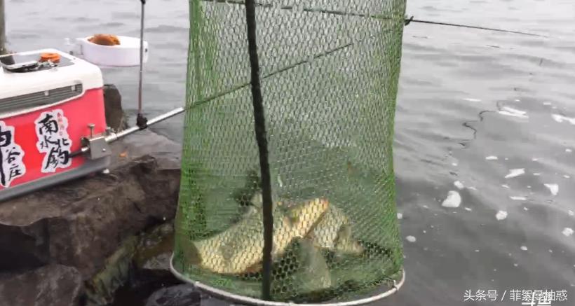 结束了钓鱼一天的疲惫,休息一天明天继续钓鱼