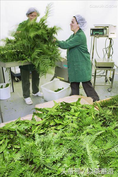 农村手工作坊创业项目,农村人如何0成本创业