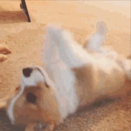 早春包包小众品牌,春夏小众包包品牌