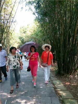 三亚适合同学去的地方 (高中毕业之旅三亚)