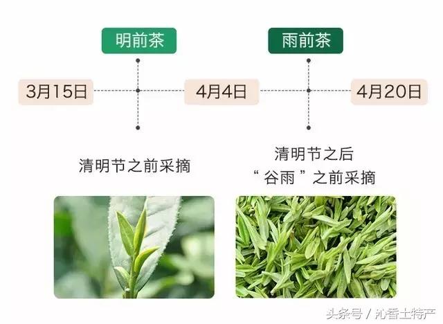 九华佛茶是九华山的特产吗,九华山佛茶是什么茶种