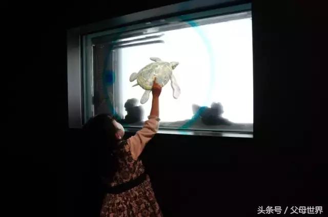 一个从来没用过童车的爸爸抱着孩子去日本水族馆吓人了!