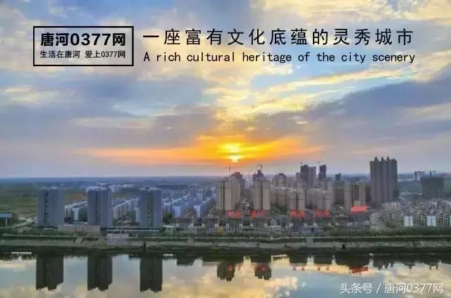 唐河，你就是一个P？