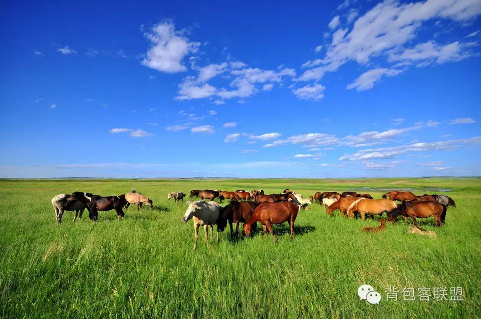 呼伦贝尔旅游攻略注意事项 (呼伦贝尔旅游攻略包车)