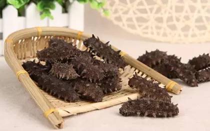 大连海参的产地和养殖方式,固力源海参产地是长海县吗