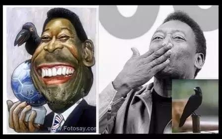 路边社新闻,路边社新闻视频