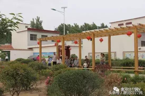 唐河，你就是一个P？