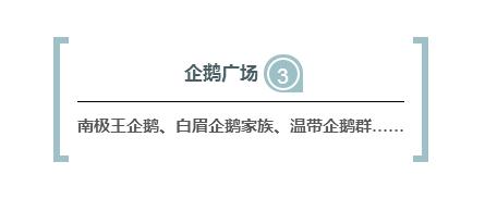 杭州极地海洋游玩图,杭州极地海洋世界旅游攻略