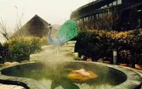 一起泡个温泉,温泉泡池冬天来一场暖暖温泉旅行