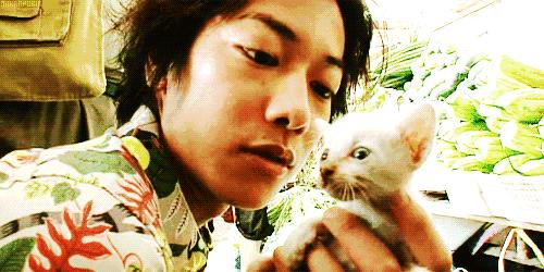 佐藤健在日本女性心中的地位,佐藤健颜值巅峰图片