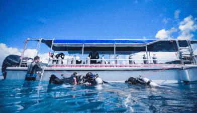 帕劳出行攻略详细 (去帕劳要买哪些东西)