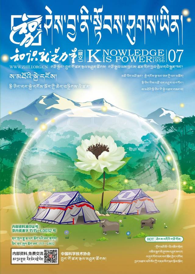 高原精灵藏羚羊国画,藏羚羊有没有角