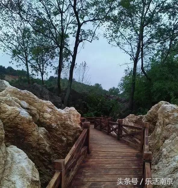 南京免费公园免费开放日一览表,南京最大的公园排名