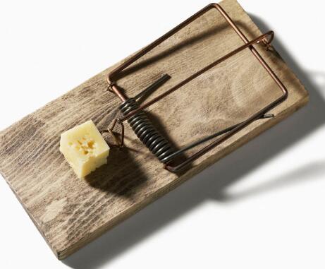 超市怎么抓老鼠最有效室内,如何抓老鼠最有效方法