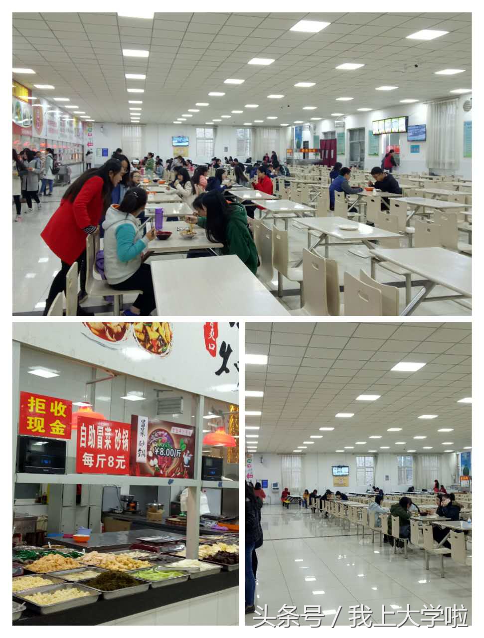 十分钟可以转完的延安大学医学院,我想,妈妈们到这儿会哭的!