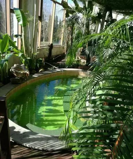 一起泡温泉的奢侈的享受,夏日一起泡温泉