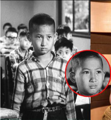 原来的陈晓和赵丽颖是金童玉女,陈晓和马雅舒谁漂亮