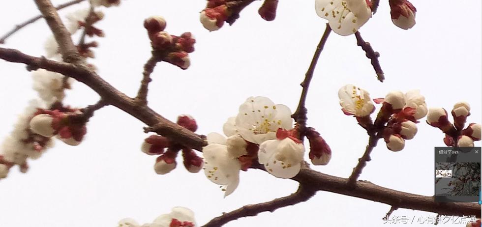 1600万全景摄像头,1600万前置摄像头好用吗