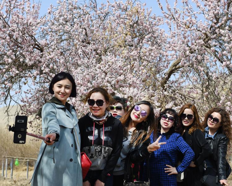 2017年第2320期定西手机报