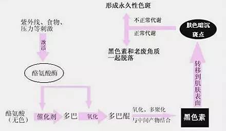 干货推荐国货护肤品,干货护肤推荐