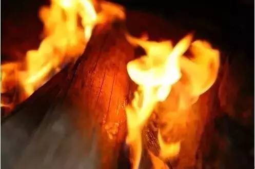 减肥是一种修行歌曲,为什么说减肥就是整容