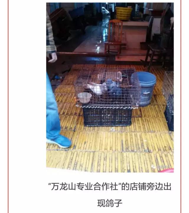 江西今日新增病例最新通报,江西新增确诊病例54例