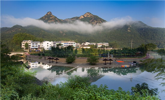 关注丨金华：两只垃圾桶成网红