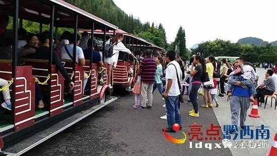 贵州万峰林油菜花怎么玩,贵州万峰林最美油菜花视频