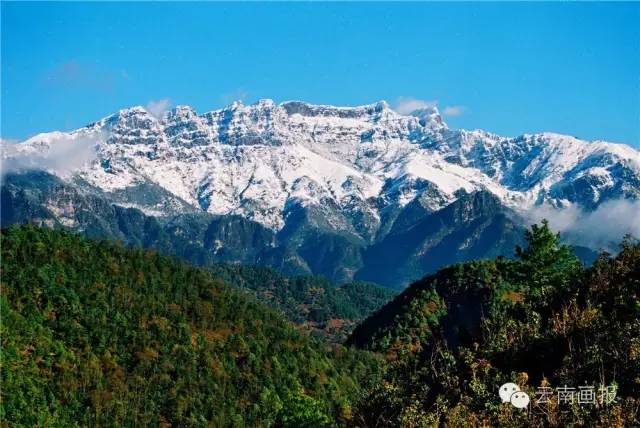 云南省什么地方风景区最好,云南生态环境最好的地方