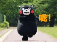 一群人,一个梦|我系学子连获佳绩