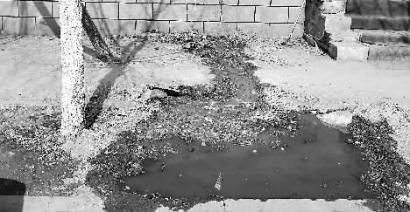 居民楼排出的污水去哪了,楼道下水道反味