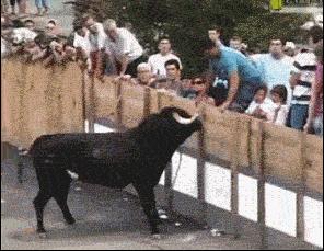 上海男子和妹妹说：给爸妈送终的事就交给你了！半个月有人在一条河里发现了他！