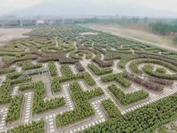 宁波好玩的迷宫,动心吗