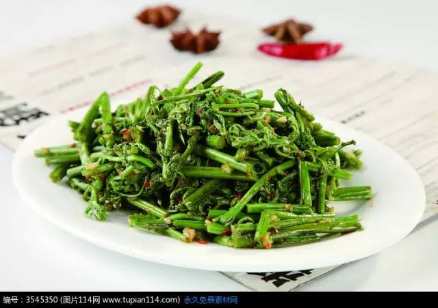 三月的味道，霞浦的野味正当时，给你的味蕾放个假