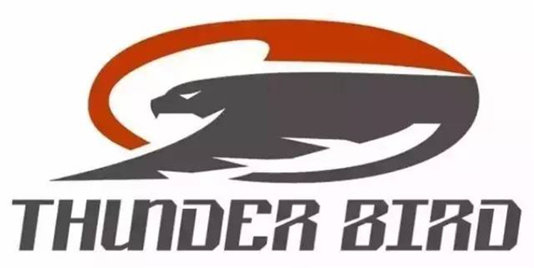 雷鸟排气官方,雷鸟排气福特嘉年华