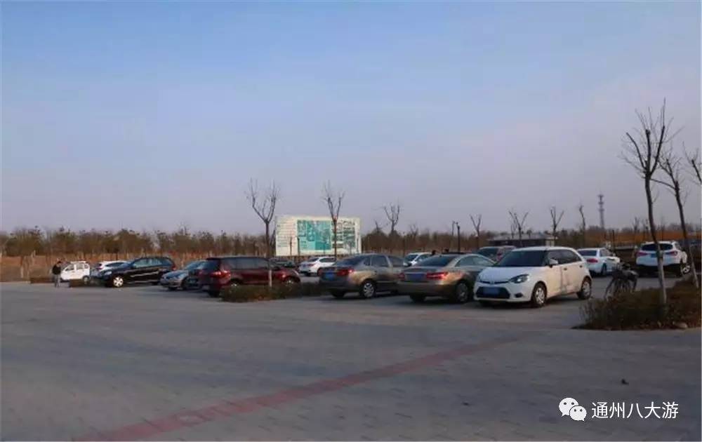 小小的世界大大的你免费观看,小小的世界大大的快乐