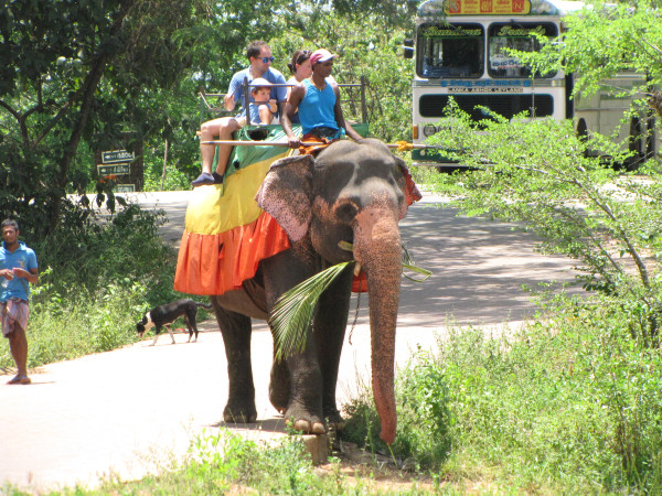 斯里兰卡旅游攻略,斯里兰卡旅游攻略是什么