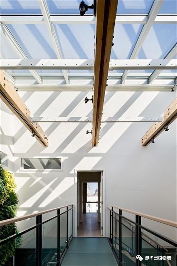 禅意风植物墙,特色植物墙