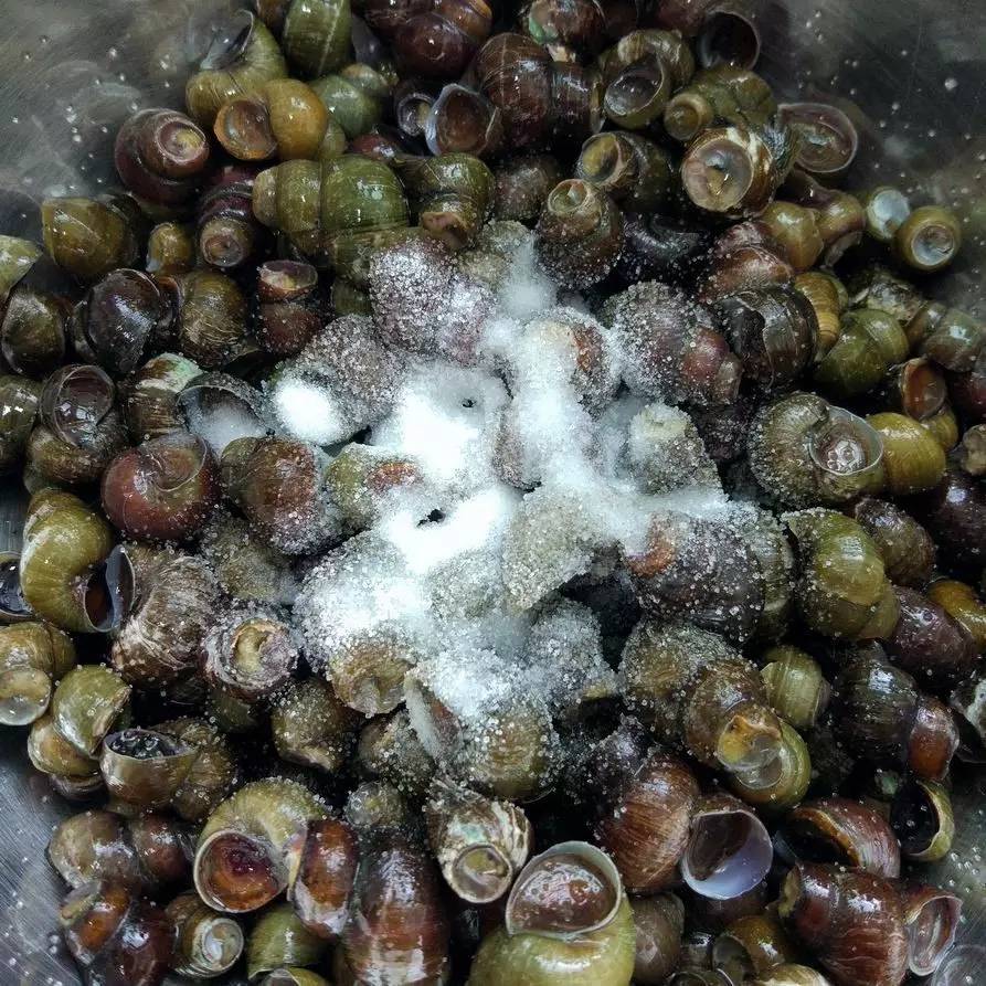 鲜螺蛳清洗,商用炒螺丝如何炒又嫩又好吸