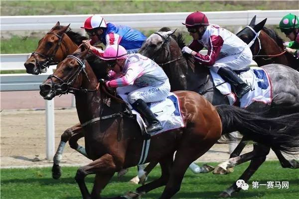 迪拜赛马俱乐部赛事执行总监：中国赛马正飞速发展