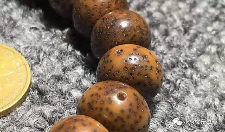 分享买过的菩提,两年多星月菩提有点花