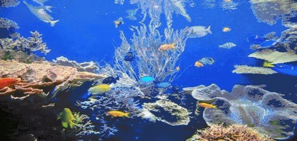 河西区大商场排名,河西大型商业