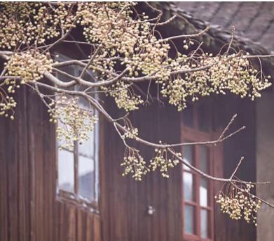 天干物燥小心鼻出血,天干物燥小心火烛歌词