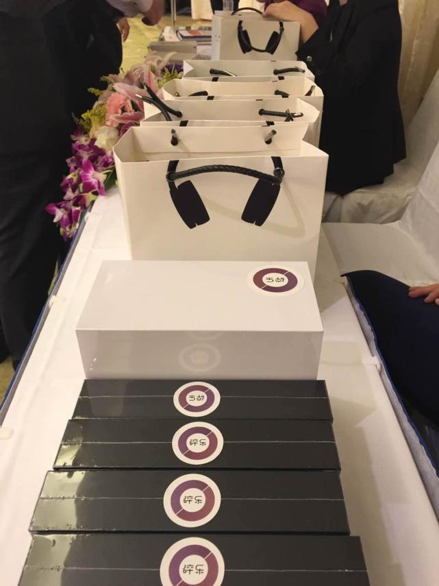 碎乐赞助博鳌文化沙龙和徐悲鸿长孙一起谈创意与坚持