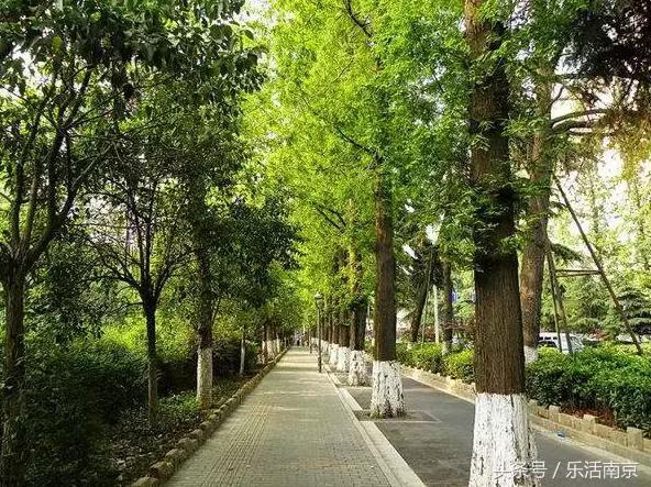 免费公园南京,南京十大公园排行榜