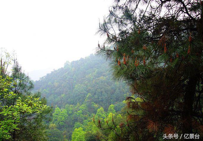 九龙坡网红景点有哪些,九龙坡十大必去景点免费