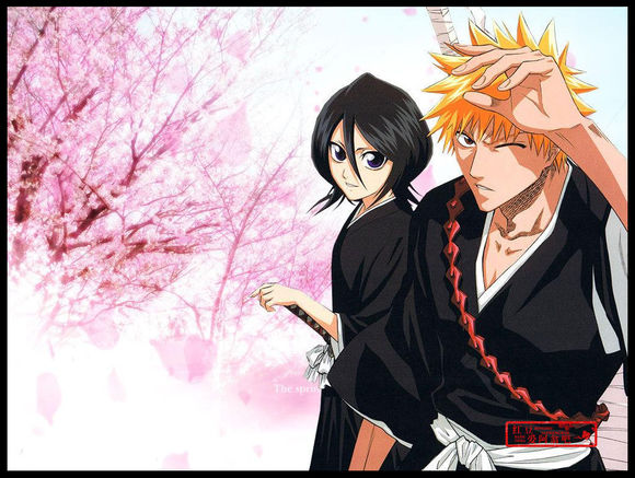 最受欢迎的二次元cp人气排行榜,最受欢迎的二次元cp投票处