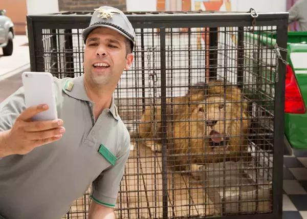 高分畅快的6部“悬疑，动作，喜剧”的电影，你更喜欢哪一部？