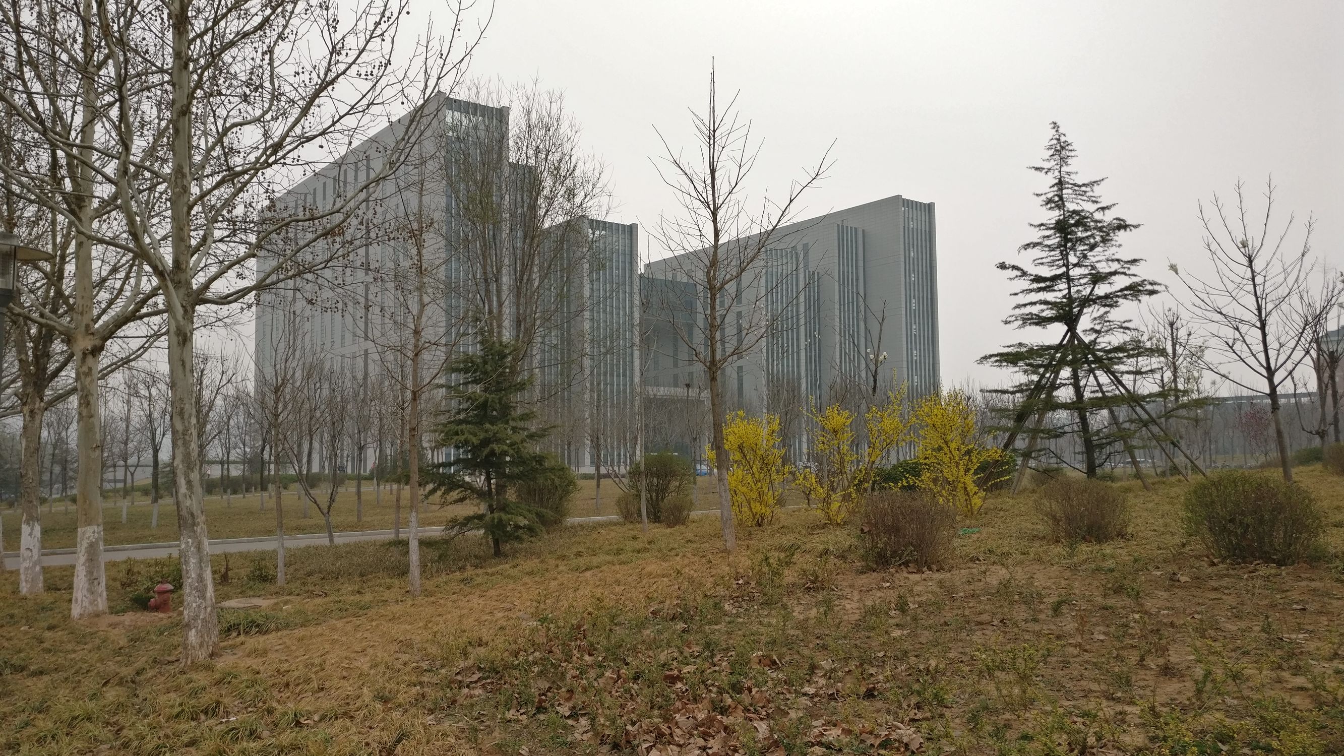 一加三t最新版本,一加ace3入手体验